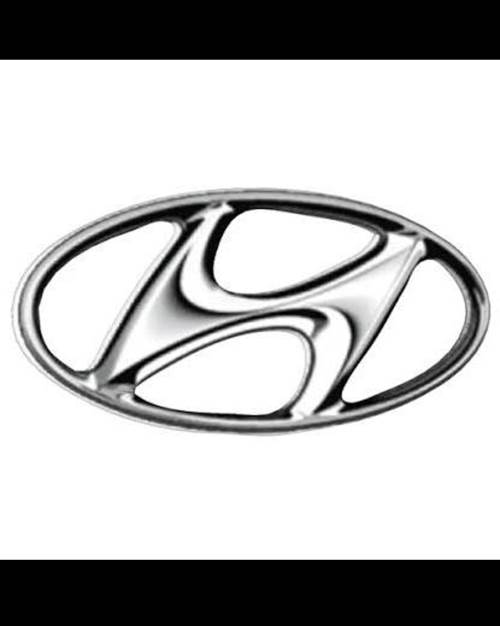 Hyundai Staria 2.2D Executive (11 Seater)