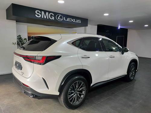 Lexus NX 250 EX